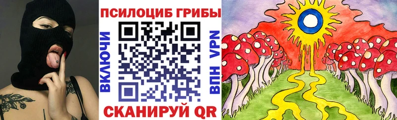 Псилоцибиновые грибы Magic Shrooms  mega ссылки  Пудож 