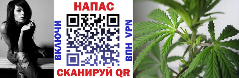 ссылка на мегу ссылки  Пудож  Марихуана OG Kush 